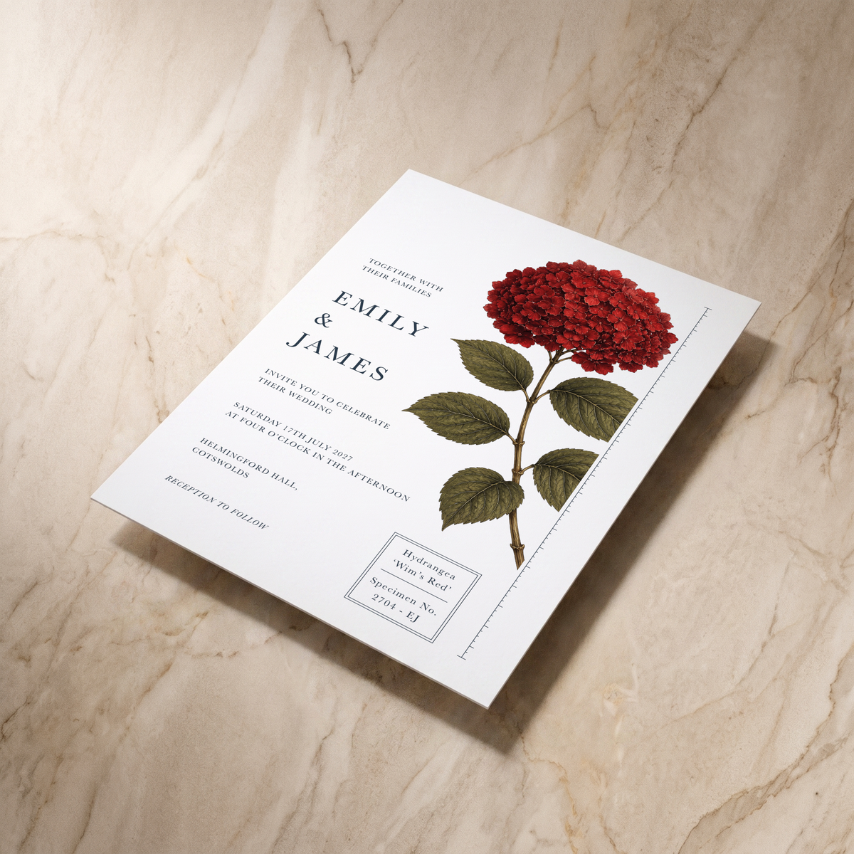 Botanist wedding invitation, angled front view