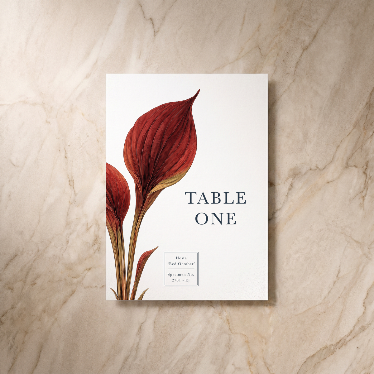 Botanist wedding table number, front