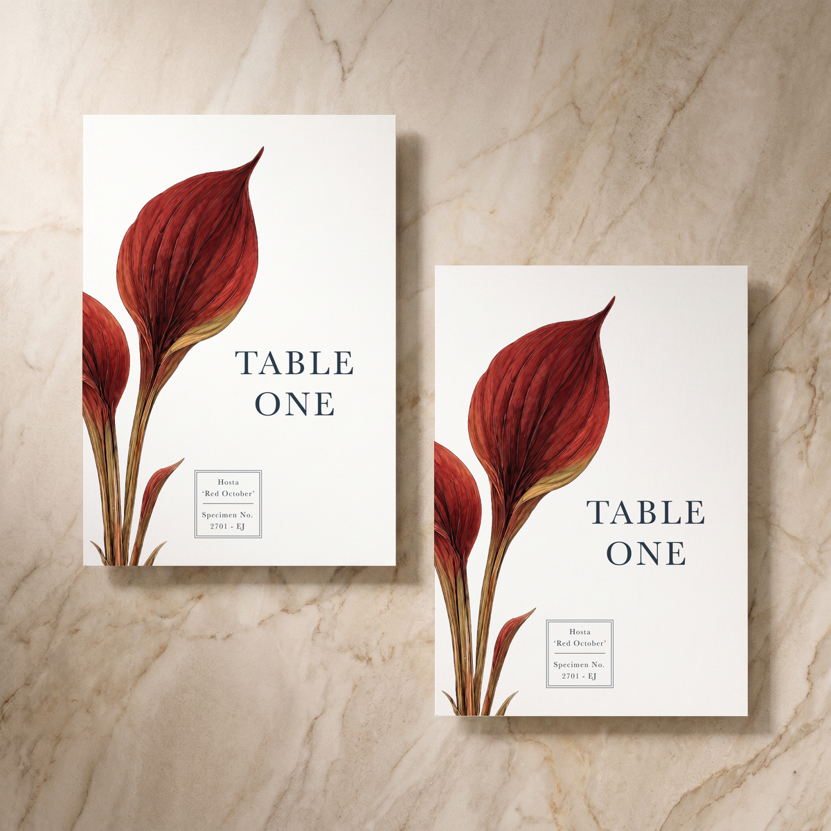 Botanist wedding table numbers pair