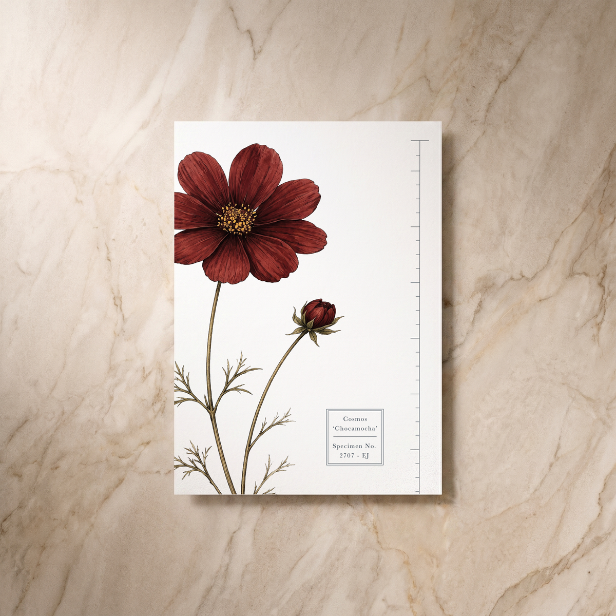 Botanist wedding details card, reverse