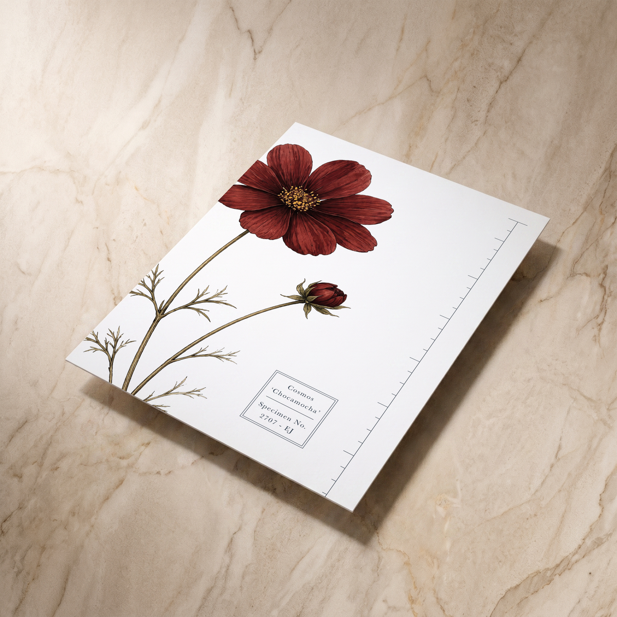 Botanist wedding details card, angled reverse view
