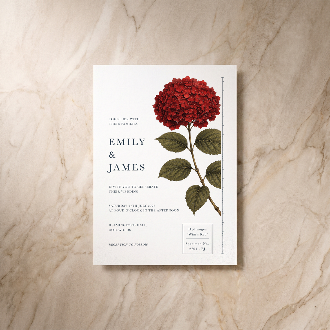 Botanist wedding invitation, front