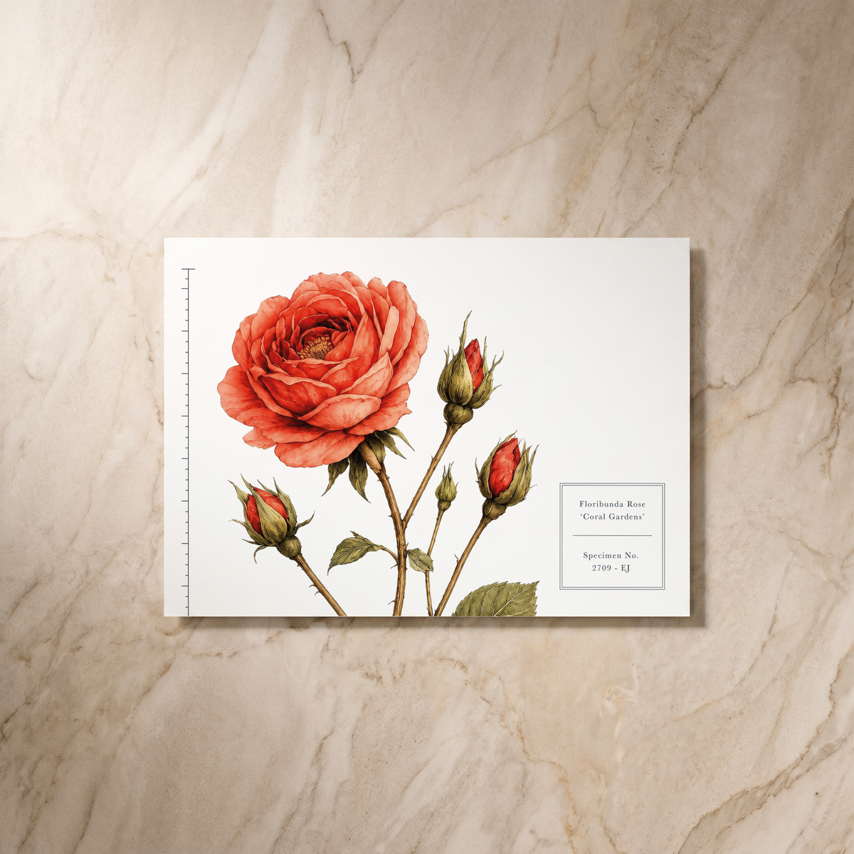 Botanist wedding RSVP card, reverse