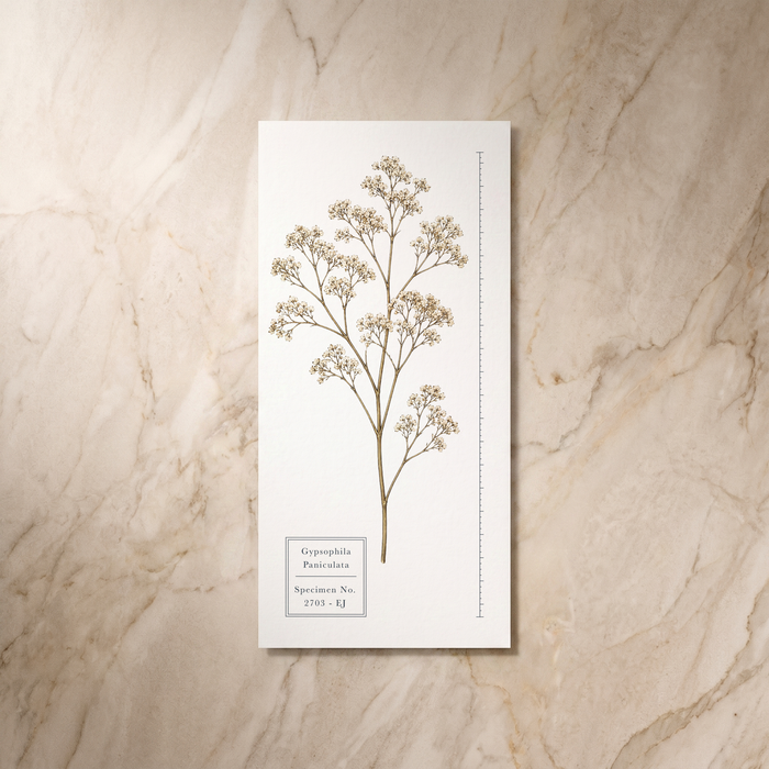 Botanist wedding menu, reverse