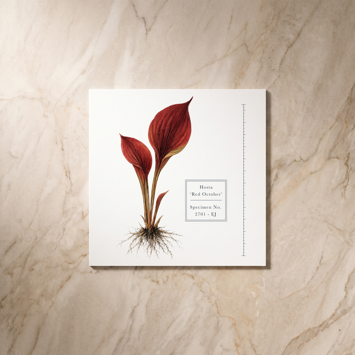 Botanist wedding save the date card, reverse