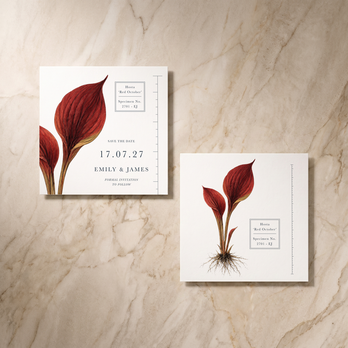 Botanist wedding save the date cards pair